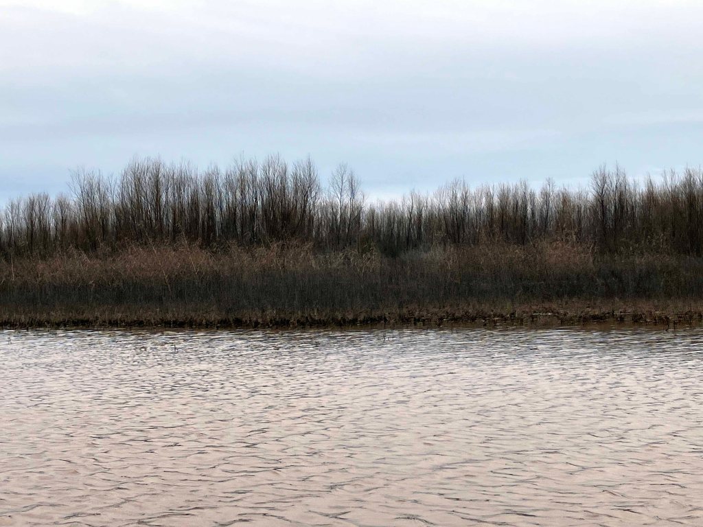 Scenery Paddle Kayak Hickory Creek WMA, Red River, Oklahoma