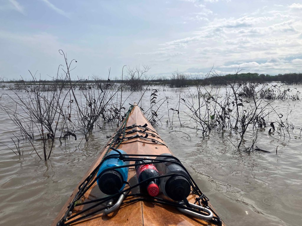 Scenery Paddle Kayak Jim Chapman Lake, Cooper Lake, Middle Sulphur River