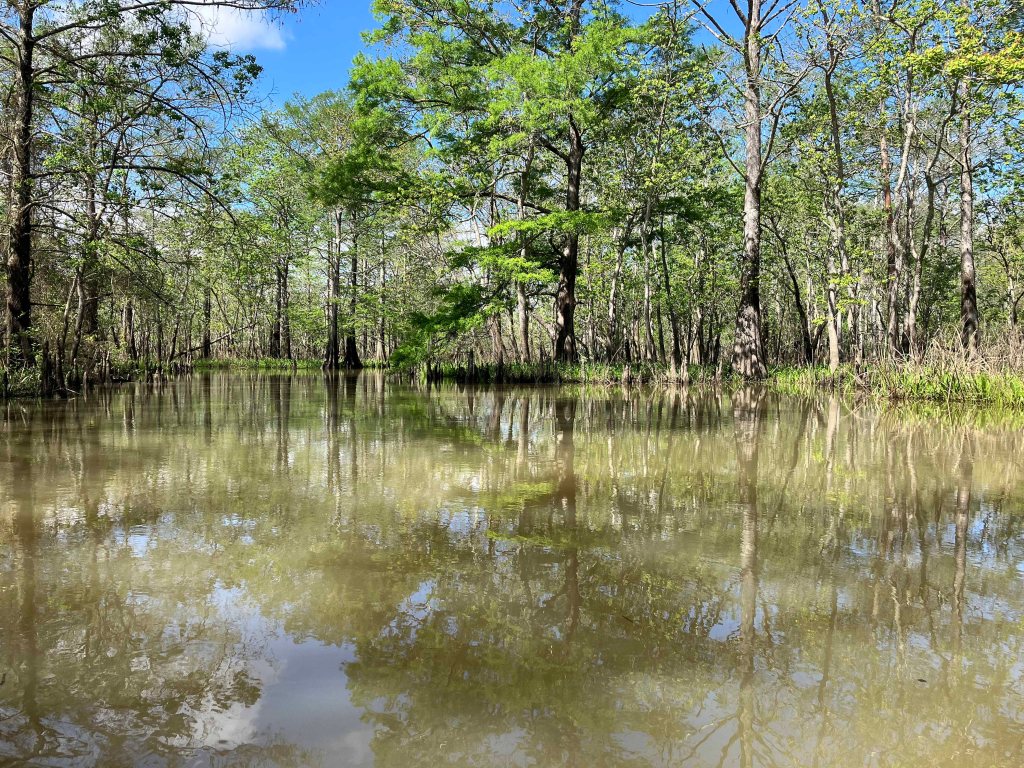 Scenery Paddle Kayak Lost River Hugo Point Park Trinity River