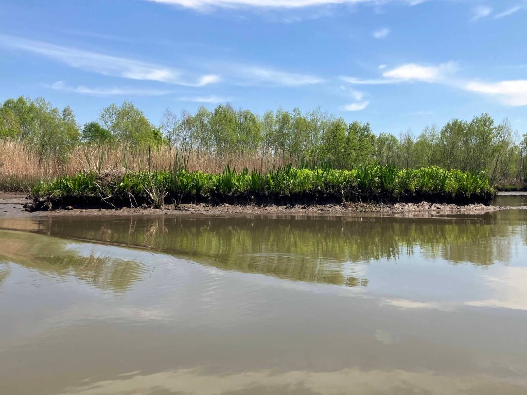 Scenery Paddle Kayak Lost River Hugo Point Park Trinity River