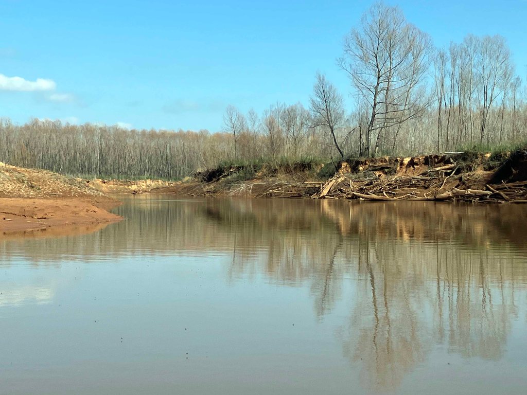 Scenery kayak paddle Tishomingo NWR Oklahoma