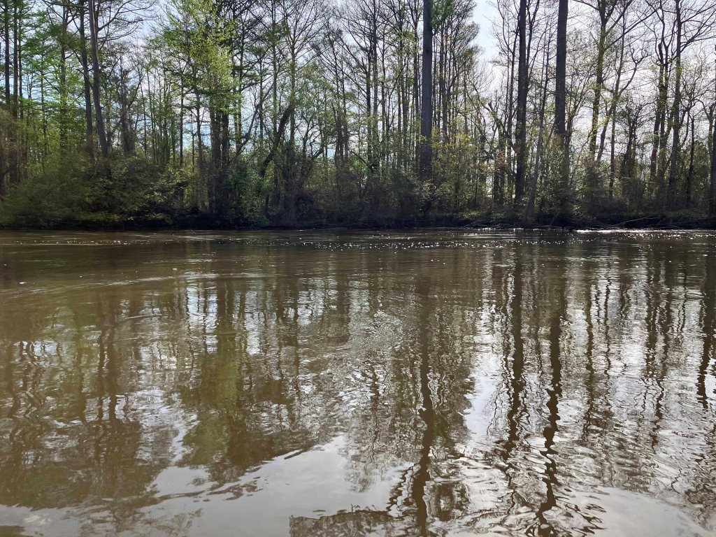 Scenery Paddle Kayak Sabine Island WMA Nibletts Bluff