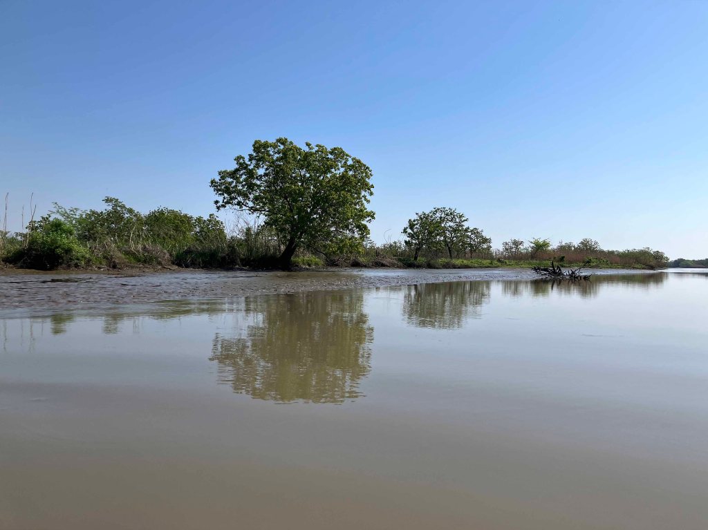 Scenery Paddle Kayak Lost River Hugo Point Park Trinity River