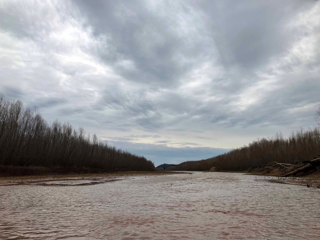 Scenery Paddle Kayak Hickory Creek WMA, Red River, Oklahoma