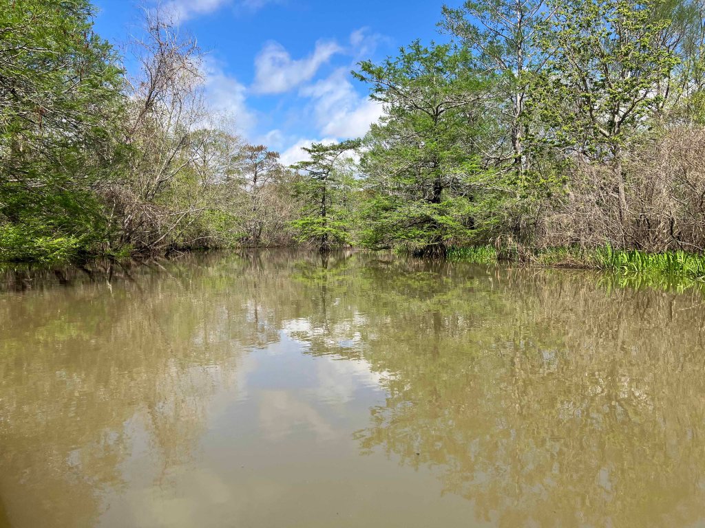 Scenery Paddle Kayak Lost River Hugo Point Park Trinity River