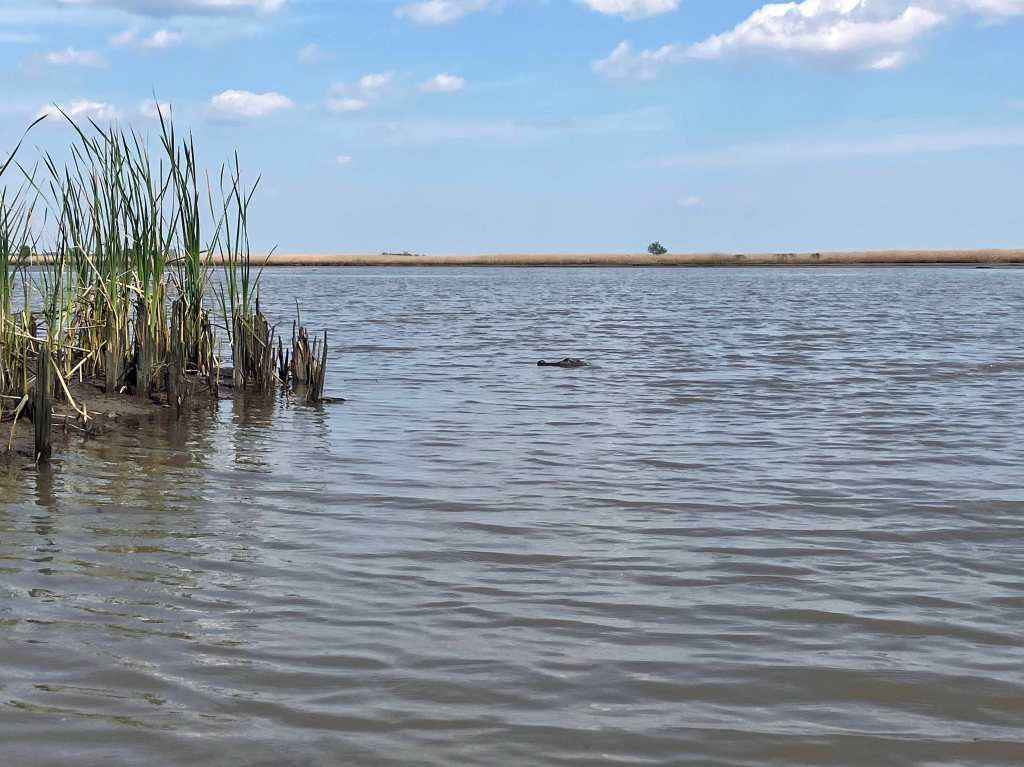 Scenery Paddle Kayak Lost River Hugo Point Park Trinity River