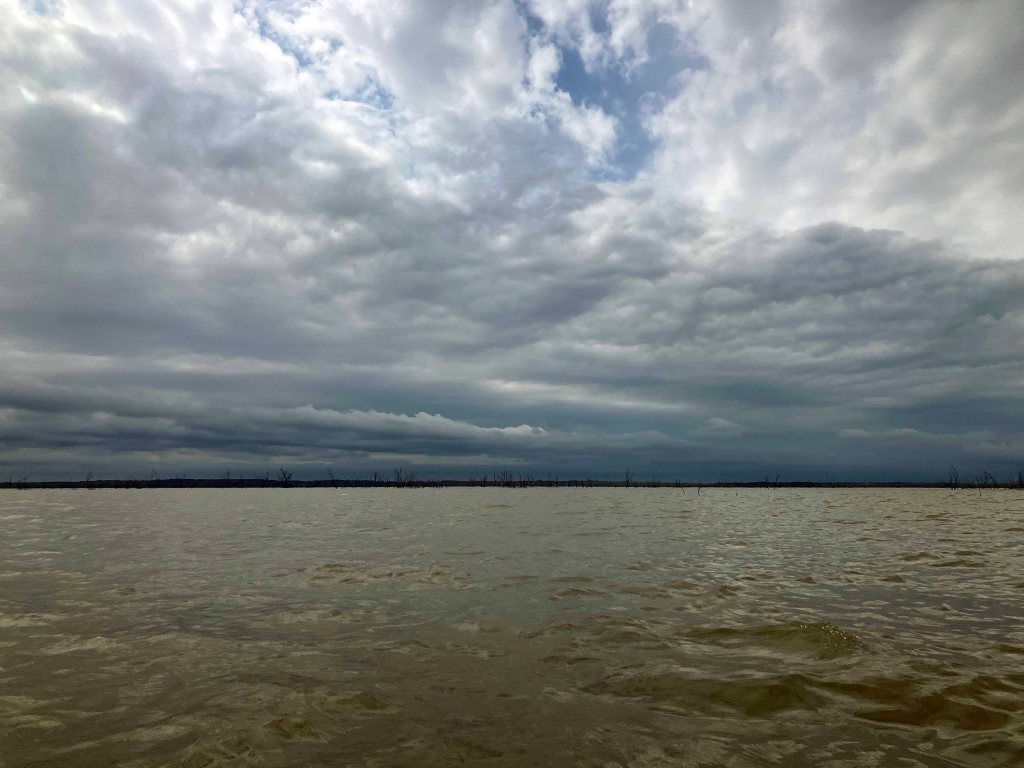 Scenery Paddle Kayak Jim Chapman Lake, Cooper Lake, Middle Sulphur River