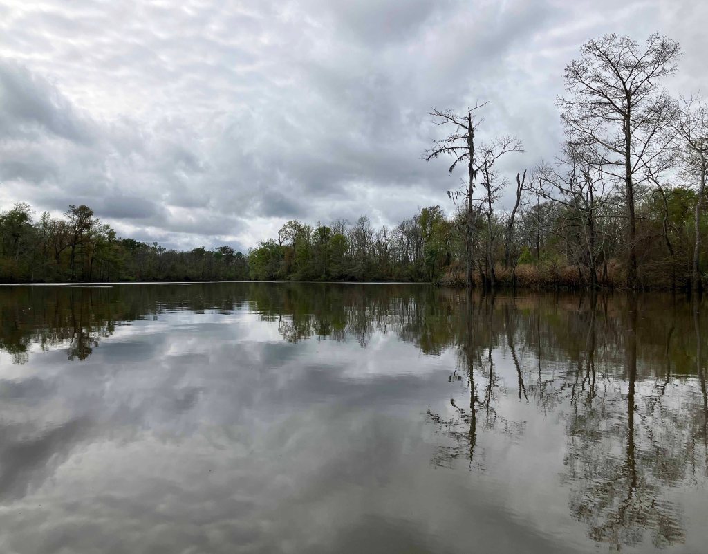 Scenery Paddle Kayak Sabine Island WMA Nibletts Bluff