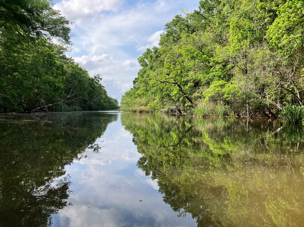 Kayak Paddle Scenery Lake Fausse Point Louisiana
