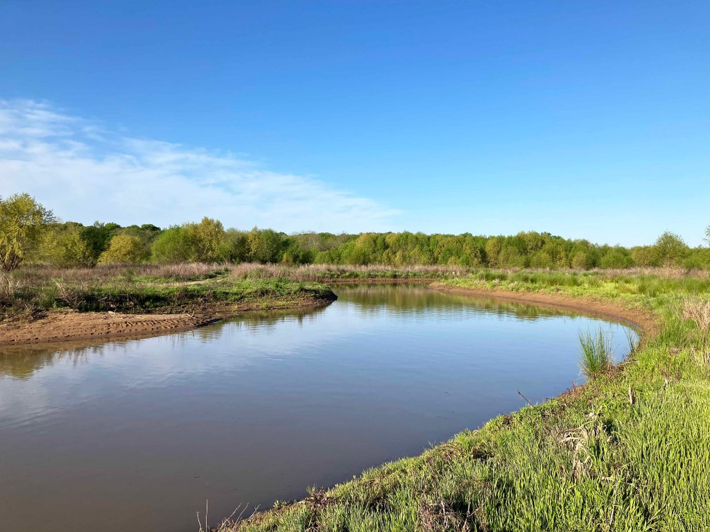 Scenery Kayak Paddle Hagerman NWR Brushy Creek Sandy Creek
