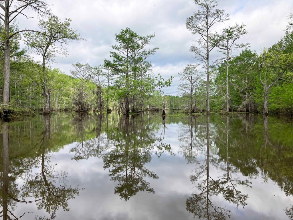 Scenery Kayak Paddle Black Bayou LA, Noah Tyson Park