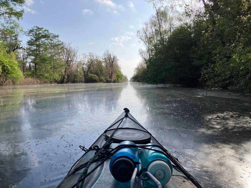 Kayak Paddle Scenery Picture Indian Bayou Atchafalaya Basin A