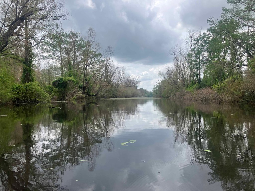 Kayak Paddle Scenery Picture Indian Bayou Atchafalaya Basin B