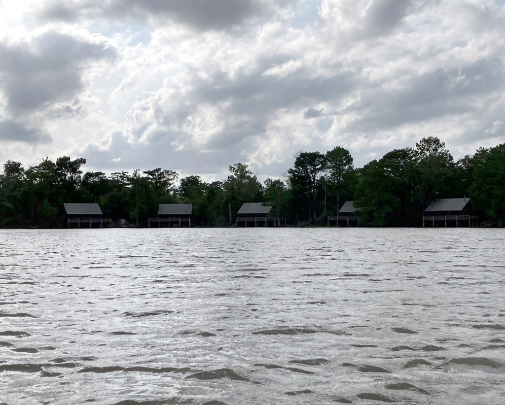 Kayak Paddle Scenery Lake Fausse Point Louisiana