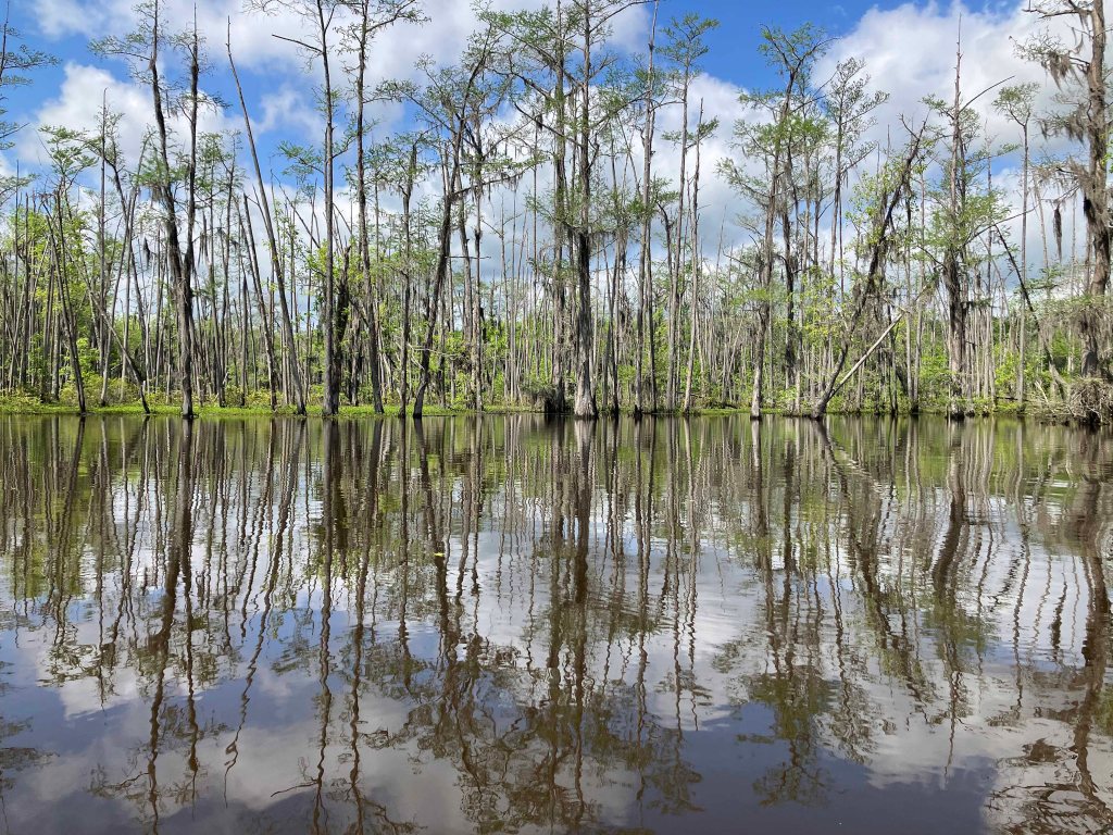 Scenery Kayak Paddle Black Bayou LA, Noah Tyson Park