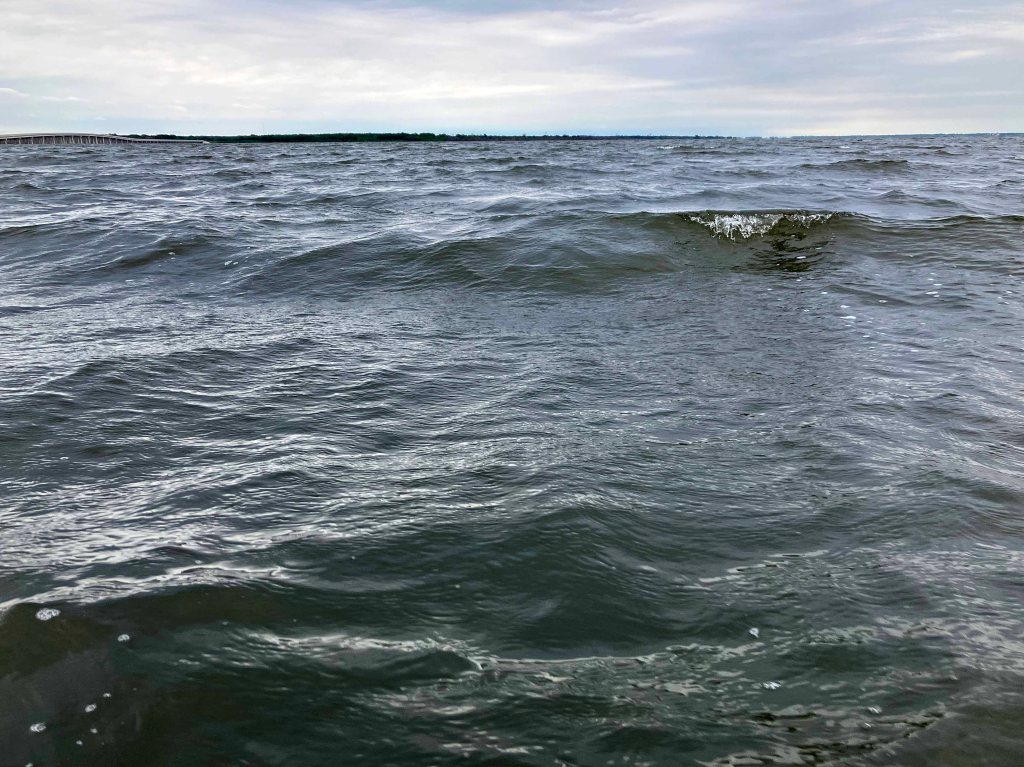 Scenery Kayak Paddle Bois d'Arc Lake, 897 Launch