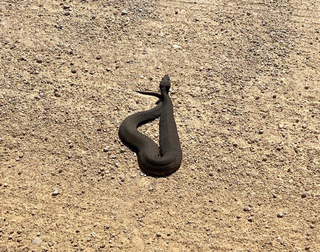 Scenery Kayak Paddle Hagerman NWR Brushy Creek Sandy Creek