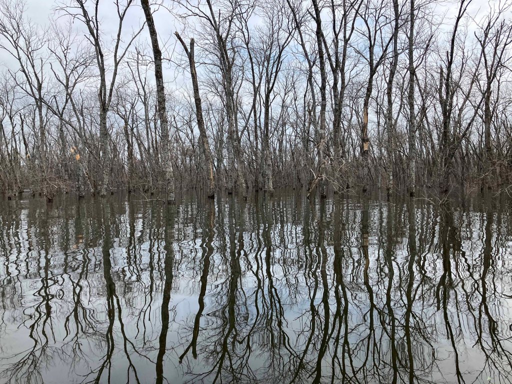 Scenery Kayak Paddle Bois d'Arc Lake, 897 Launch