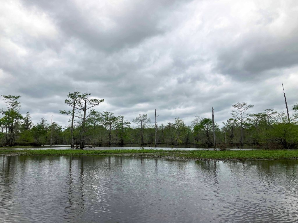 Scenery Kayak Paddle Black Bayou LA, Noah Tyson Park