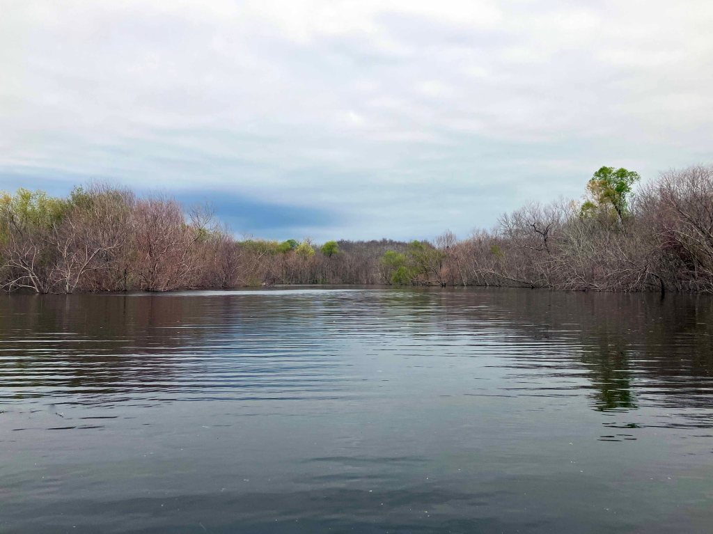 Scenery Kayak Paddle Bois d'Arc Lake, 897 Launch