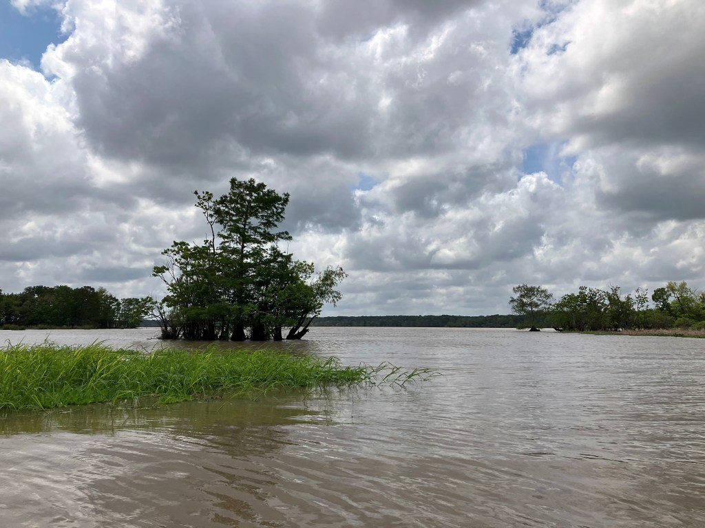 Kayak Paddle Scenery Lake Fausse Point Louisiana