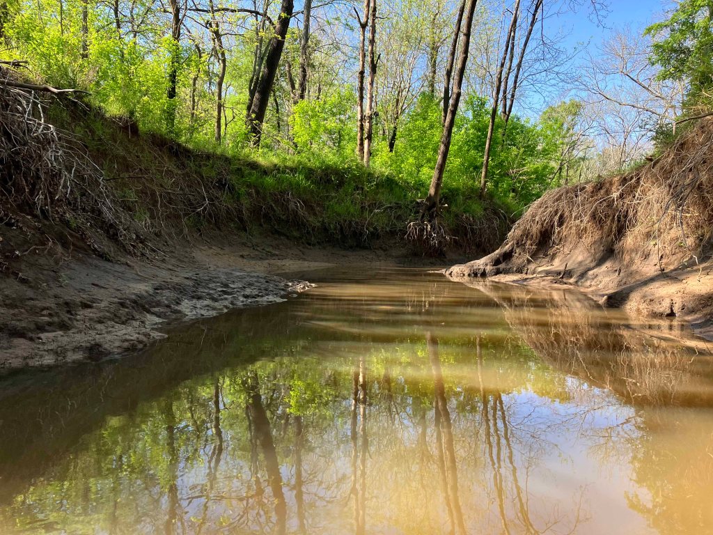Scenery Kayak Paddle Hagerman NWR Brushy Creek Sandy Creek