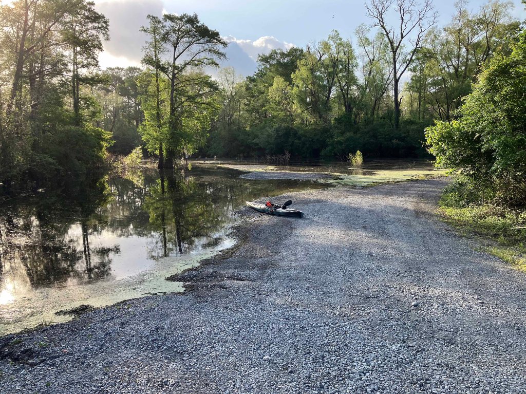 Kayak Paddle Scenery Picture Indian Bayou Atchafalaya Basin B