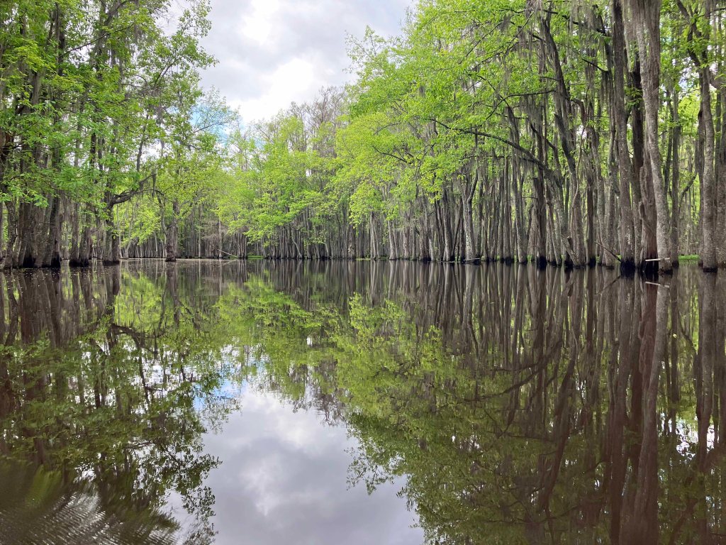 Scenery Kayak Paddle Black Bayou LA, Noah Tyson Park