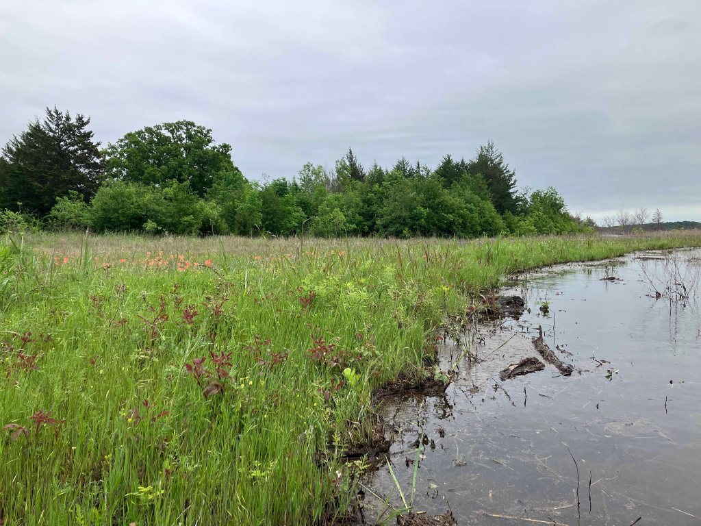 Scenery Kayak Paddle Bois d'Arc Lake, 897 Launch