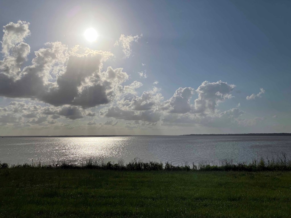 Kayak Paddle Scenery Picture Indian Bayou Atchafalaya Basin A