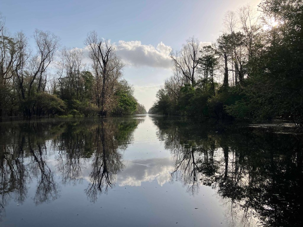 Kayak Paddle Scenery Picture Indian Bayou Atchafalaya Basin B