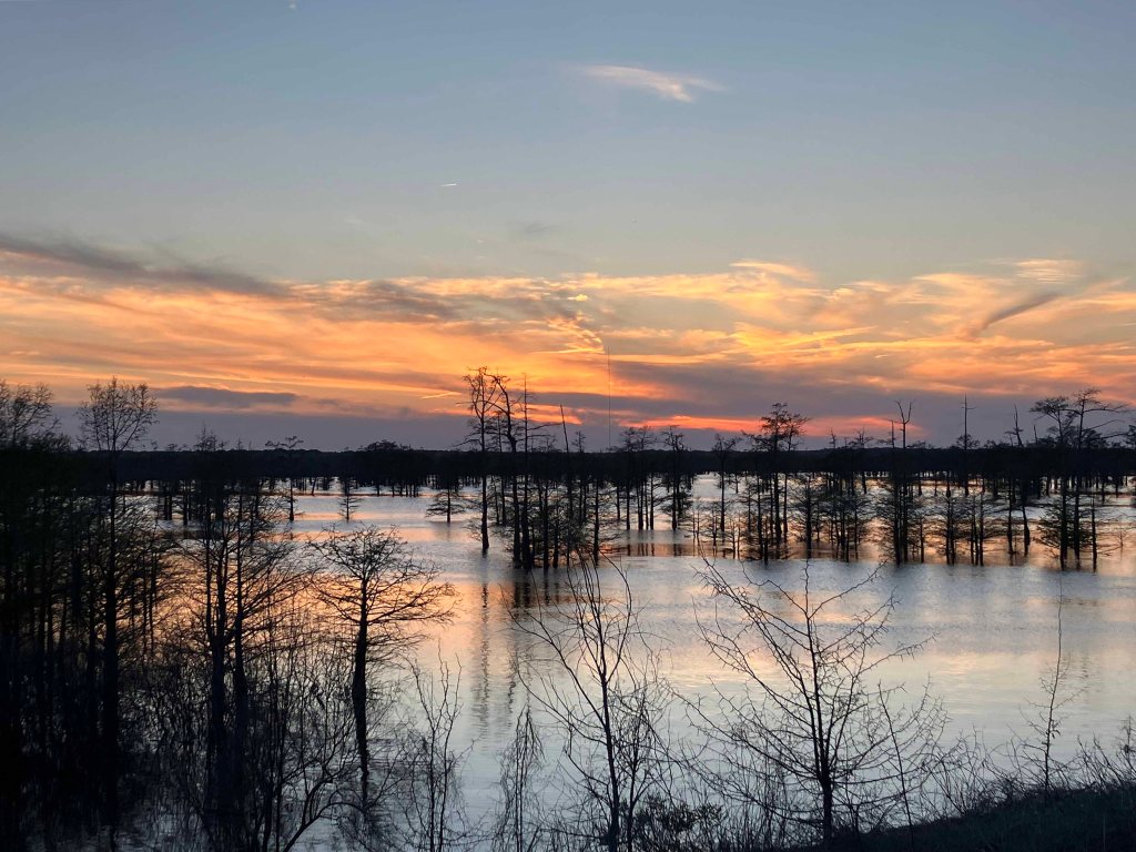Scenery Paddle Kayak Felsenthal NWR Arkansas