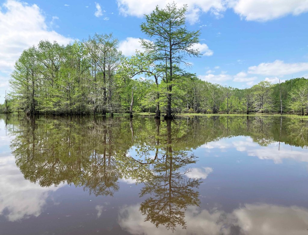 Scenery Kayak Paddle Black Bayou LA, Noah Tyson Park