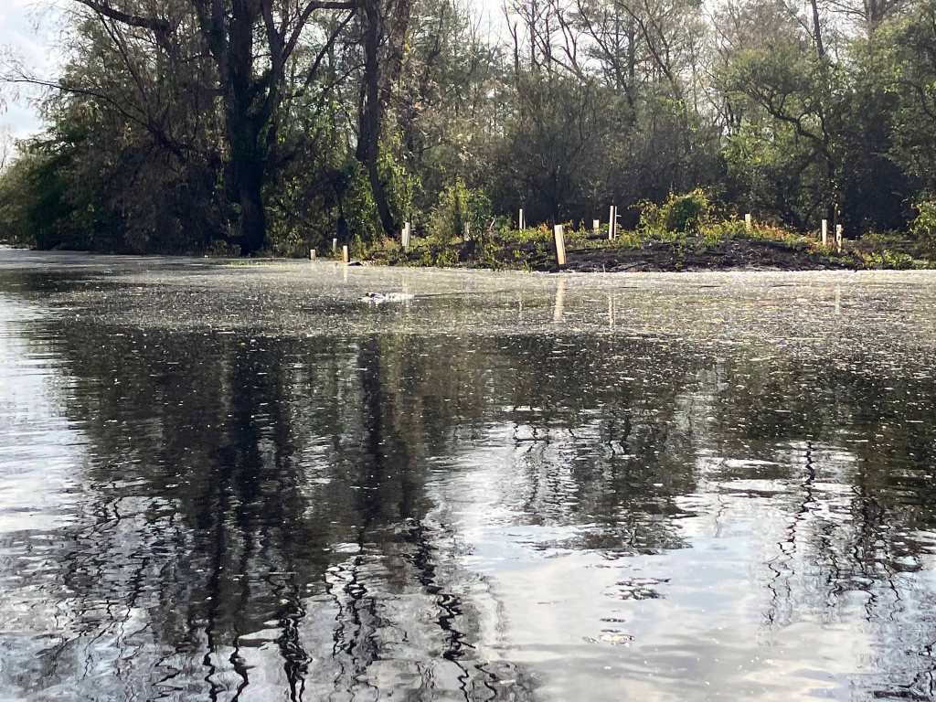 Kayak Paddle Scenery Picture Indian Bayou Atchafalaya Basin A