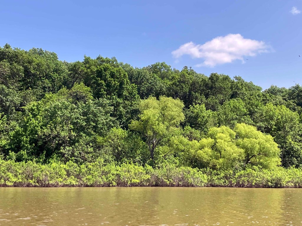 Kayak Paddle Scenery Picture Atoka Lake, North Boggy, OK www.SawdustRiver.com