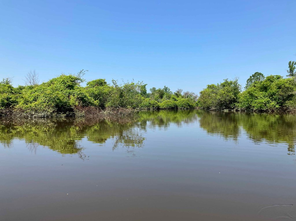 Kayak Paddle Scenery Picture Hugo Lake WMA Kiamichi River Oklahoma www.SawdustRiver.com
