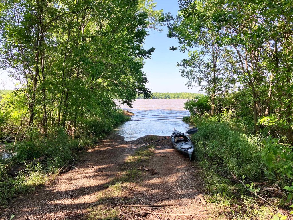 Kayak Paddle Scenery Picture Atoka Reservoir, North Boggy, OK