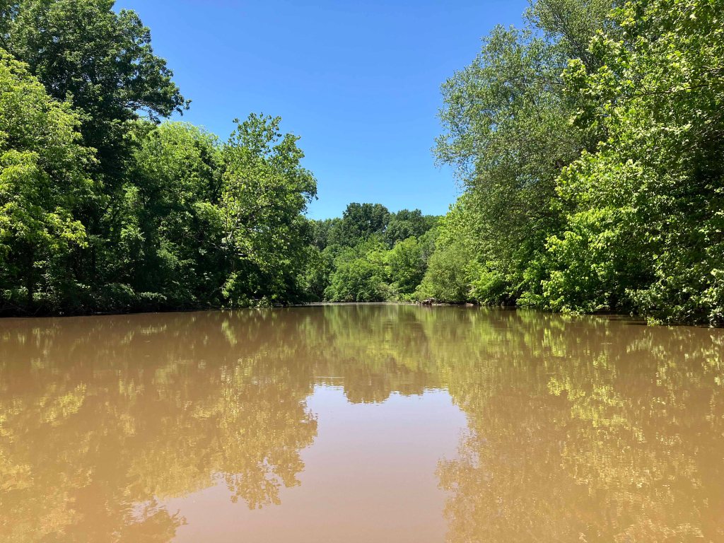 Kayak Paddle Scenery Picture Atoka Lake, North Boggy, OK www.SawdustRiver.com