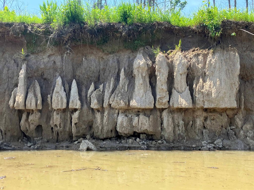 Kayak Paddle Scenery Picture Hugo Lake WMA Kiamichi River Oklahoma www.SawdustRiver.com