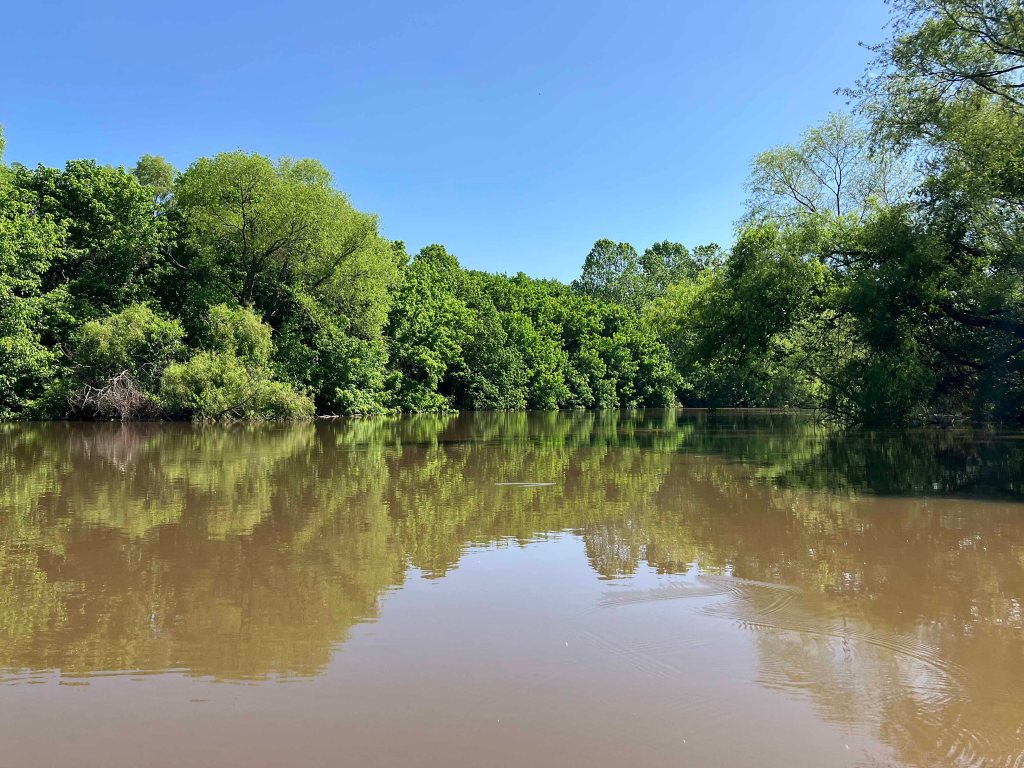 Kayak Paddle Scenery Picture Atoka Reservoir, North Boggy, OK