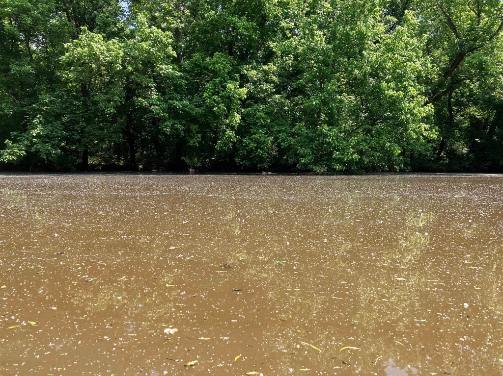 Kayak Paddle Scenery Picture Atoka Lake, North Boggy, OK www.SawdustRiver.com