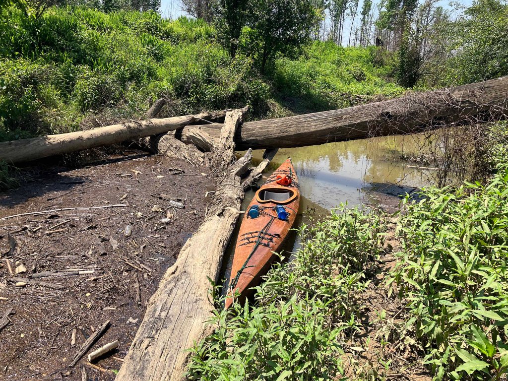 Kayak Paddle Scenery Picture Hugo Lake WMA Kiamichi River Oklahoma www.SawdustRiver.com