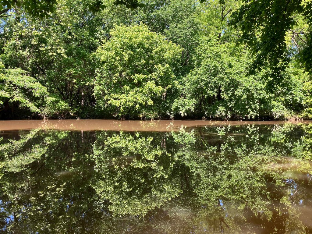 Kayak Paddle Scenery Picture Atoka Reservoir, North Boggy, OK