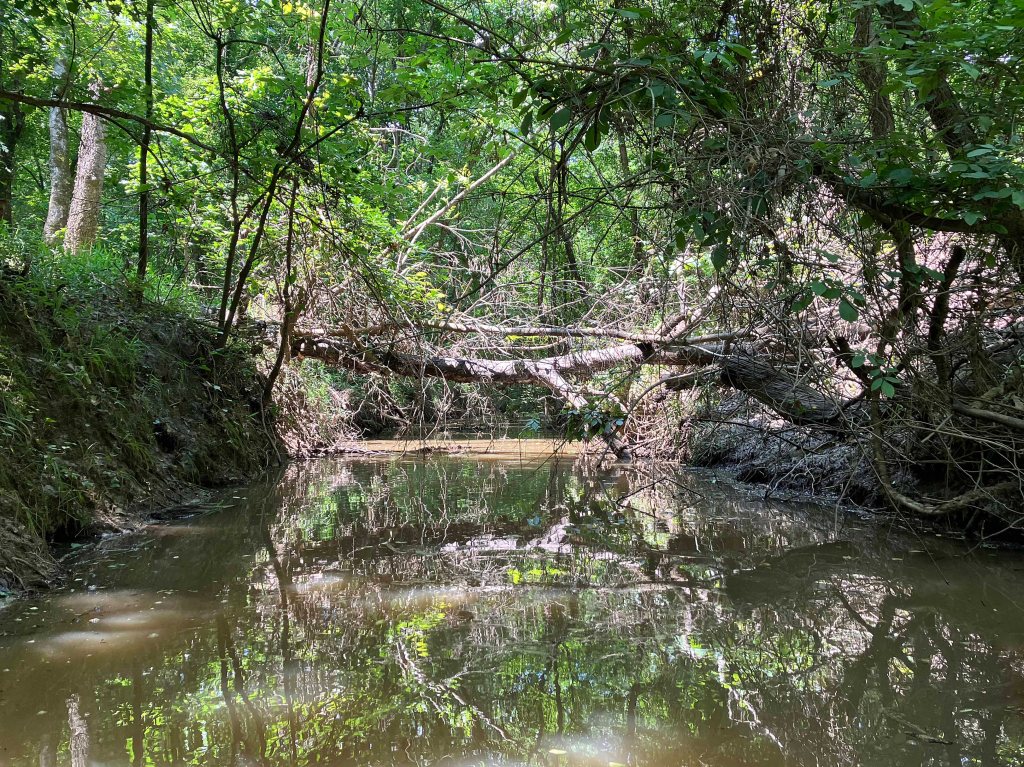 Kayak Paddle Scenery Picture Atoka Lake, North Boggy, OK www.SawdustRiver.com