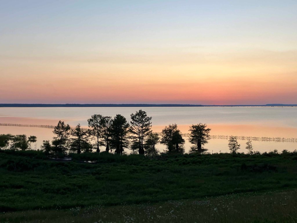 Kayak Paddle Scenery Picture Cossatot River, LIttle River, Pond Creek NWR, Arkansas www.SawdustRiver.com