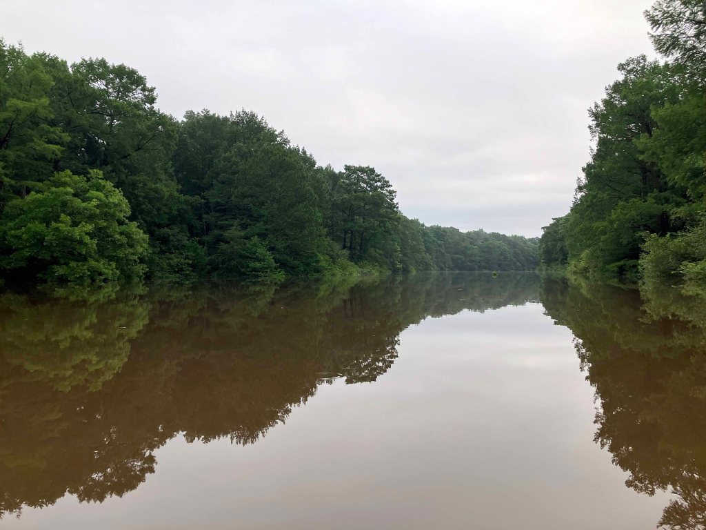 Kayak Paddle Scenery Picture Pond Creek, Pond Creek NWR, Arkansas www.SawdustRiver.com