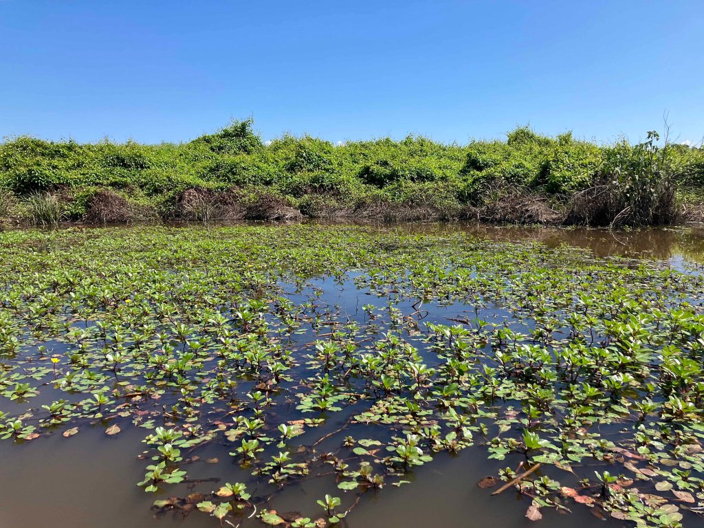 Kayak Paddle Scenery Picture Hugo WMA, Kiamichi River, Rattan Landing, OK B www.SawdustRiver.com