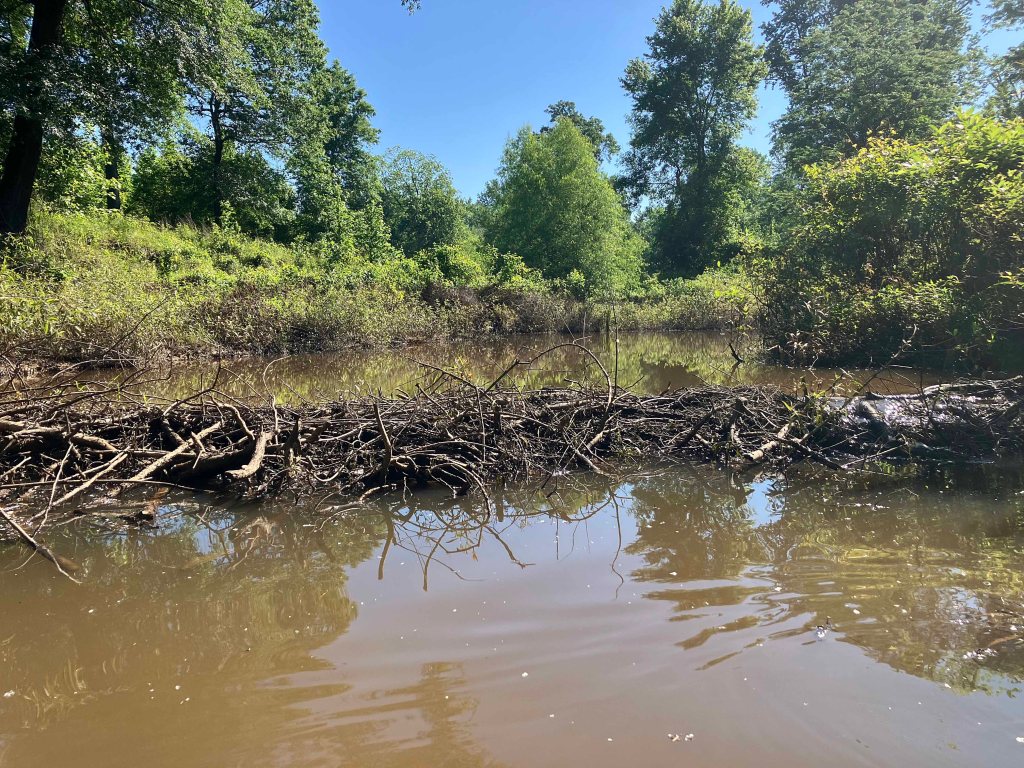 Kayak Paddle Scenery Picture Hugo WMA, Kiamichi River, Rattan Landing, OK B www.SawdustRiver.com