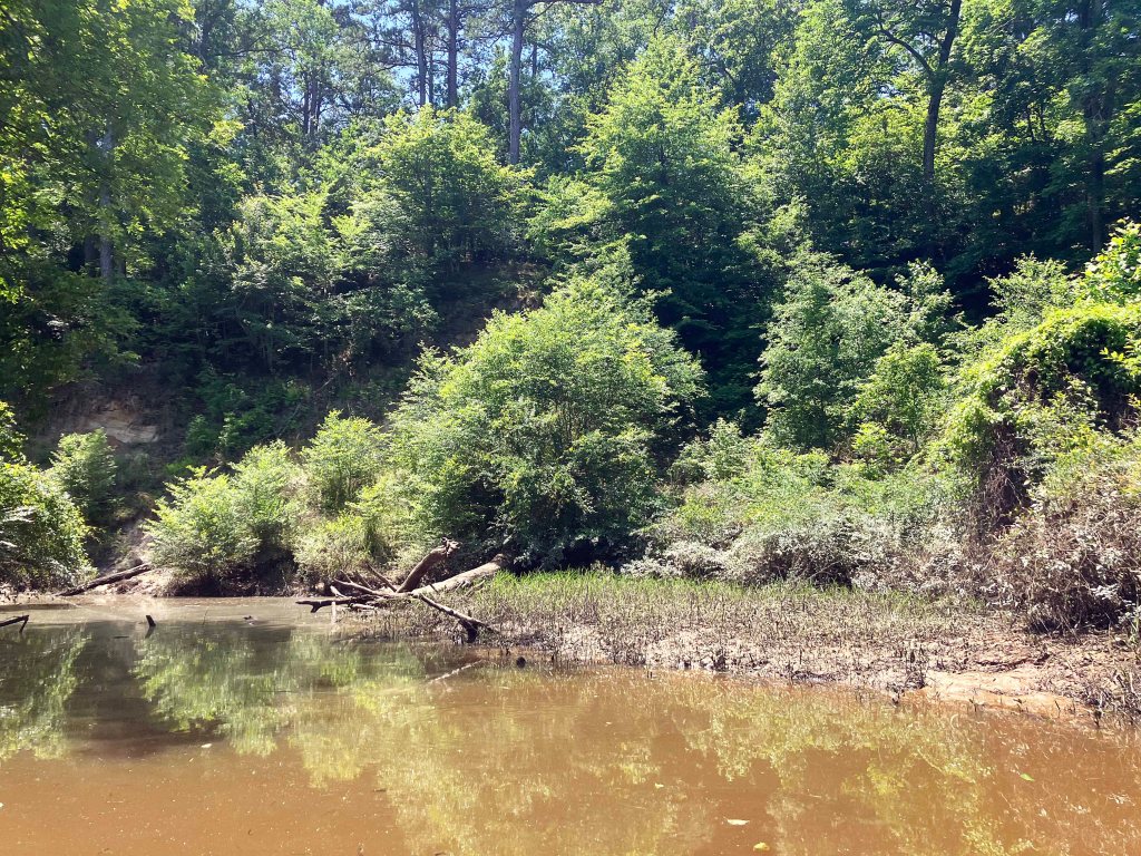 Kayak Paddle Scenery Picture Hugo WMA, Kiamichi River, Rattan Landing, OK C www.SawdustRiver.com