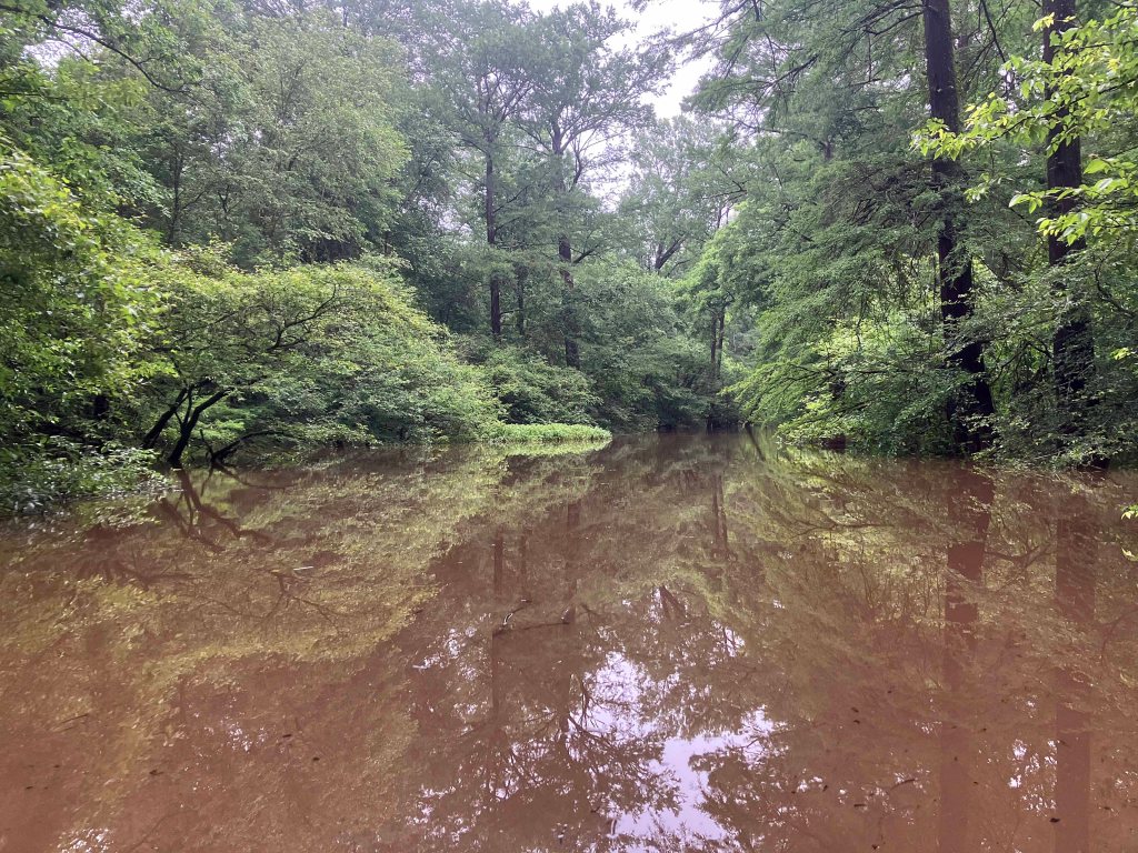 Kayak Paddle Scenery Picture Pond Creek, Pond Creek NWR, Arkansas www.SawdustRiver.com